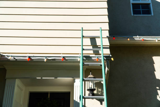 Best Custom Siding Design  in Beverly Hills, TX