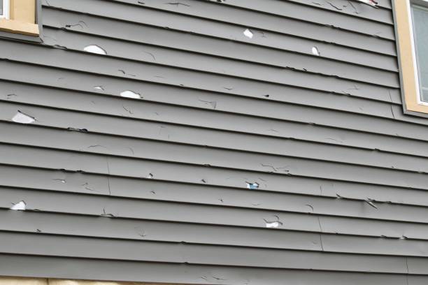 Best Fiber Cement Siding Installation  in Beverly Hills, TX